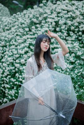 草莓视频在线观看